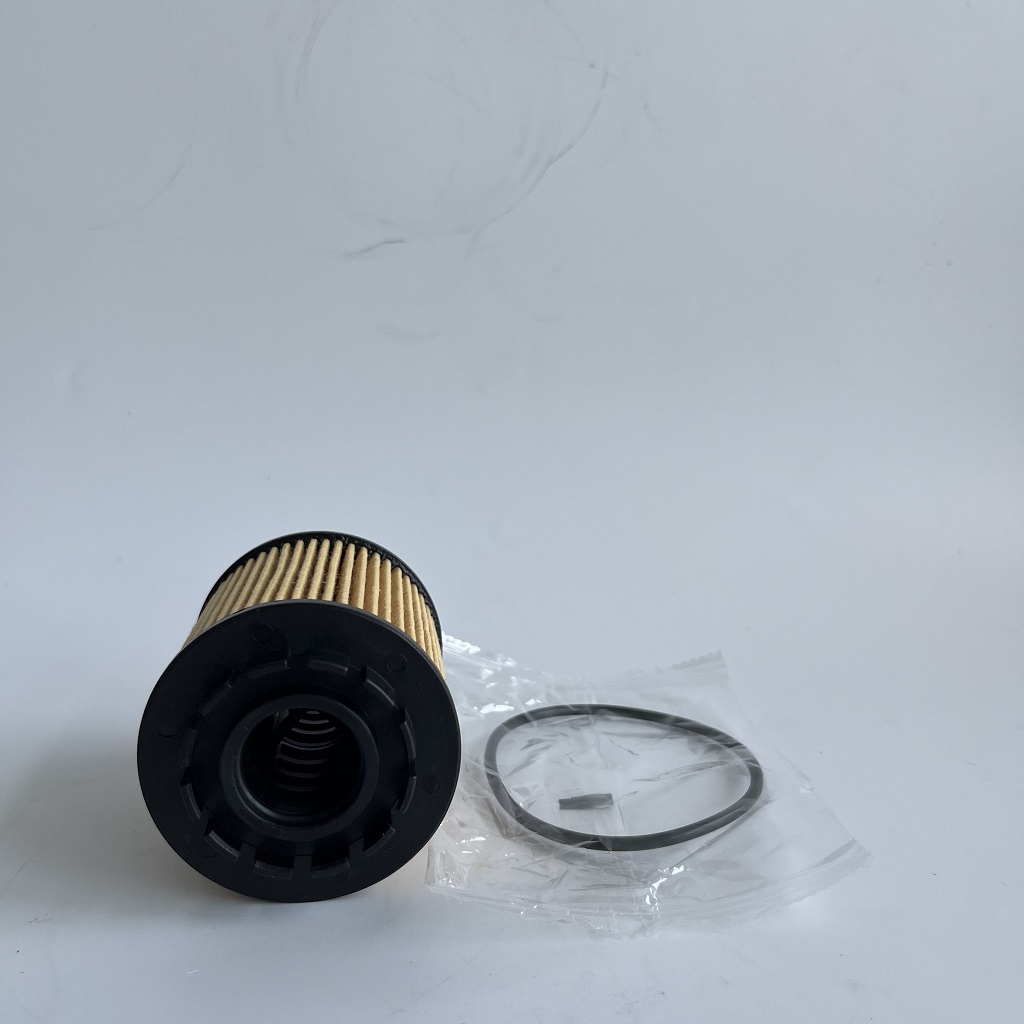 Perché usare il filtro del petrolio per Peugeot?