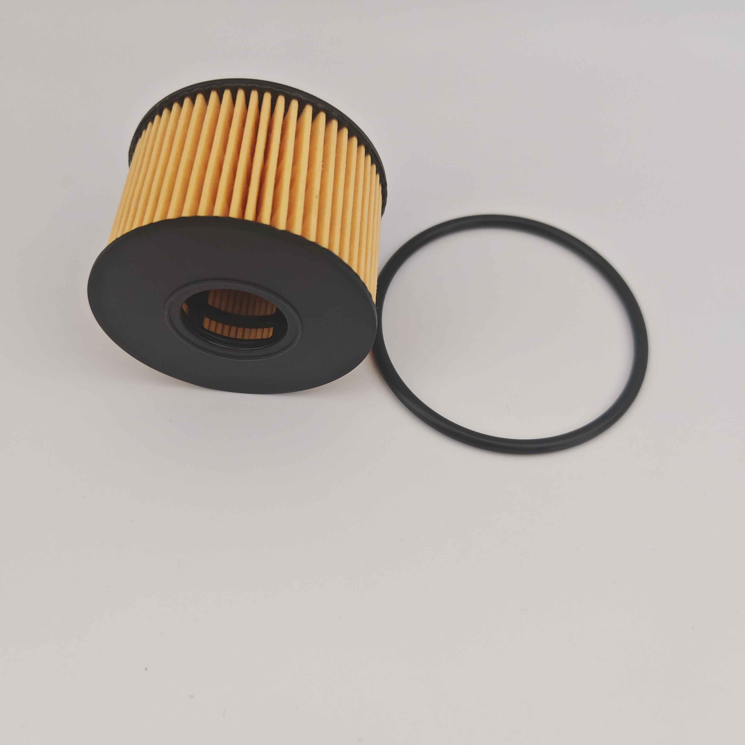 MS1-6744-AA OX1243D Filtro dell'olio FOH5013 per JMC